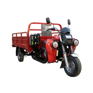 Q12 Clearance High Efficiency water-cooled adult tricycle motorcycles